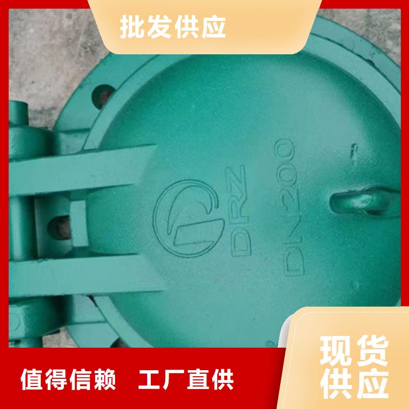 拍门,铸铁拍门放心得选择