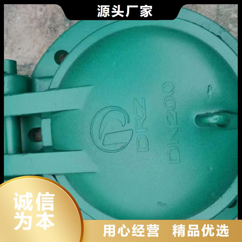 拍门-不锈钢拍门好厂家有担当