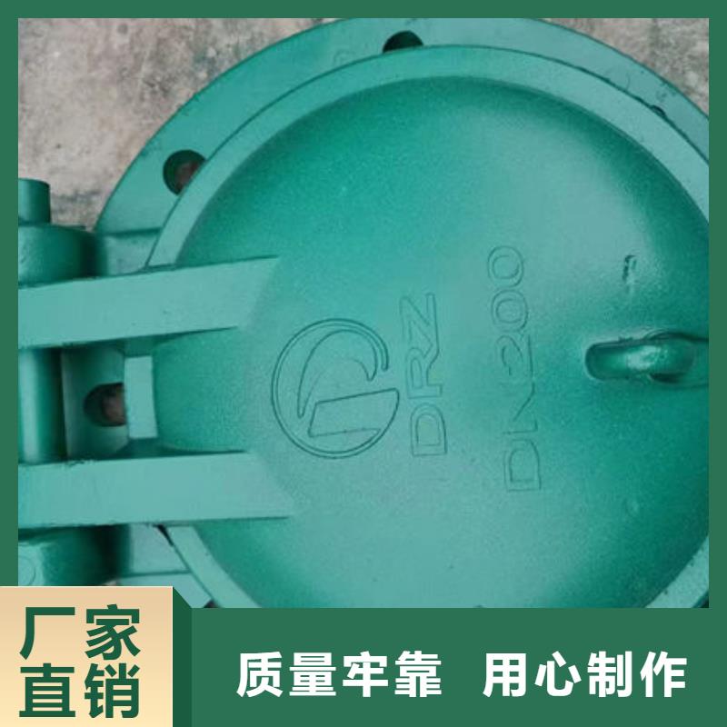 拍门-钢制拍门今日价格
