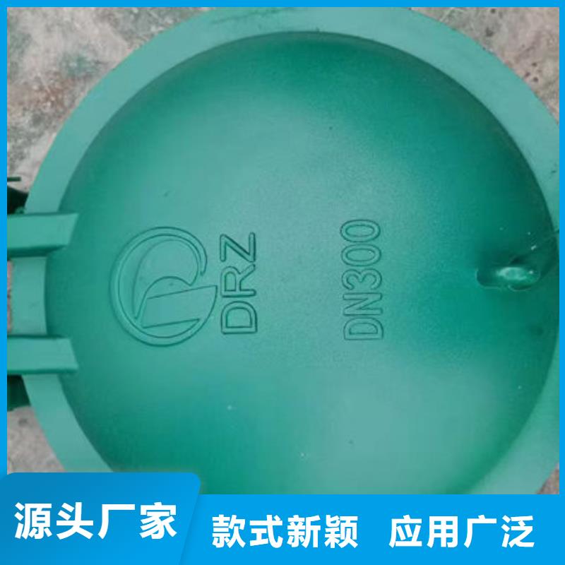 拍门球墨铸铁拍门来图加工定制