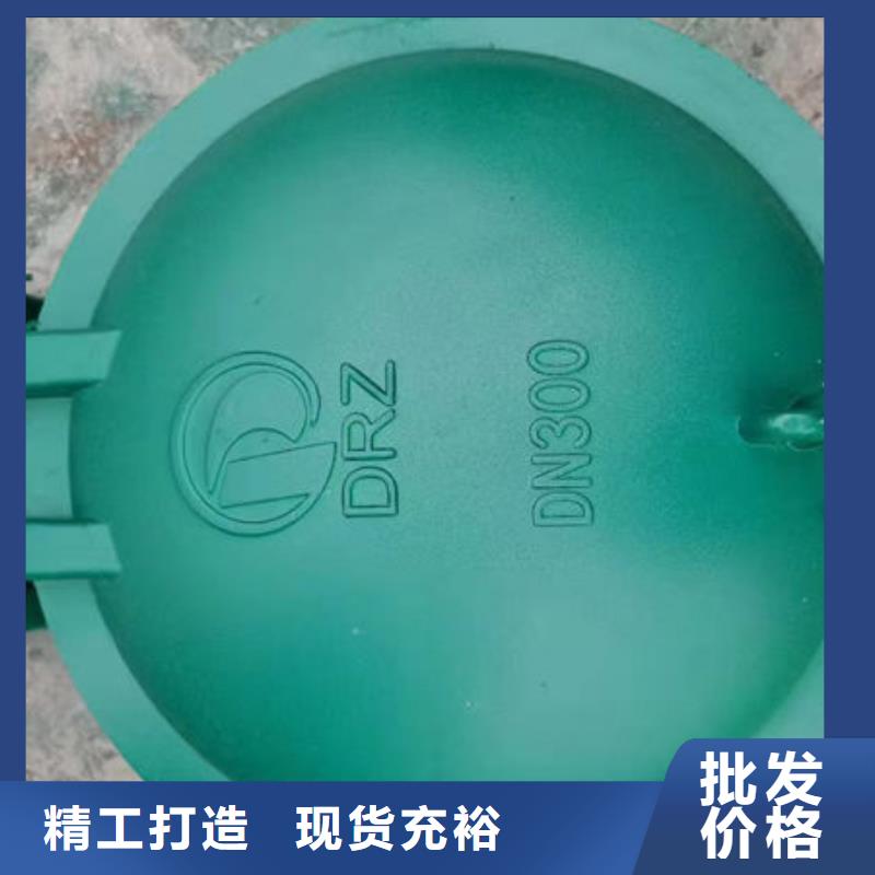 拍门球墨铸铁拍门实力优品