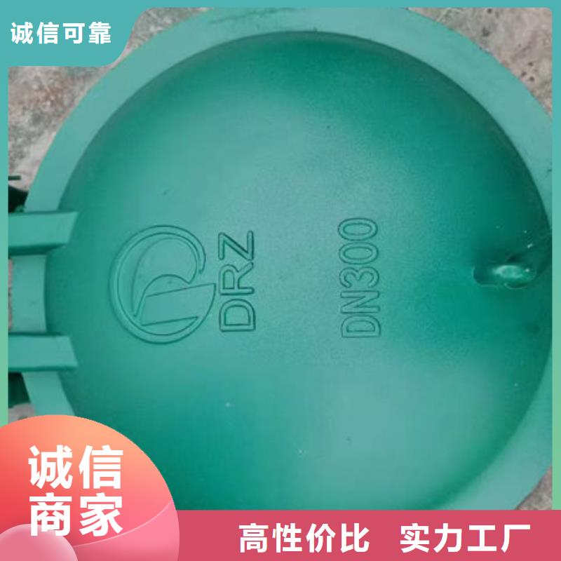 拍门不锈钢拍门应用领域