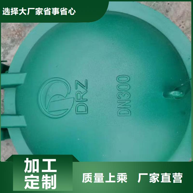 拍门,球墨铸铁拍门应用范围广泛