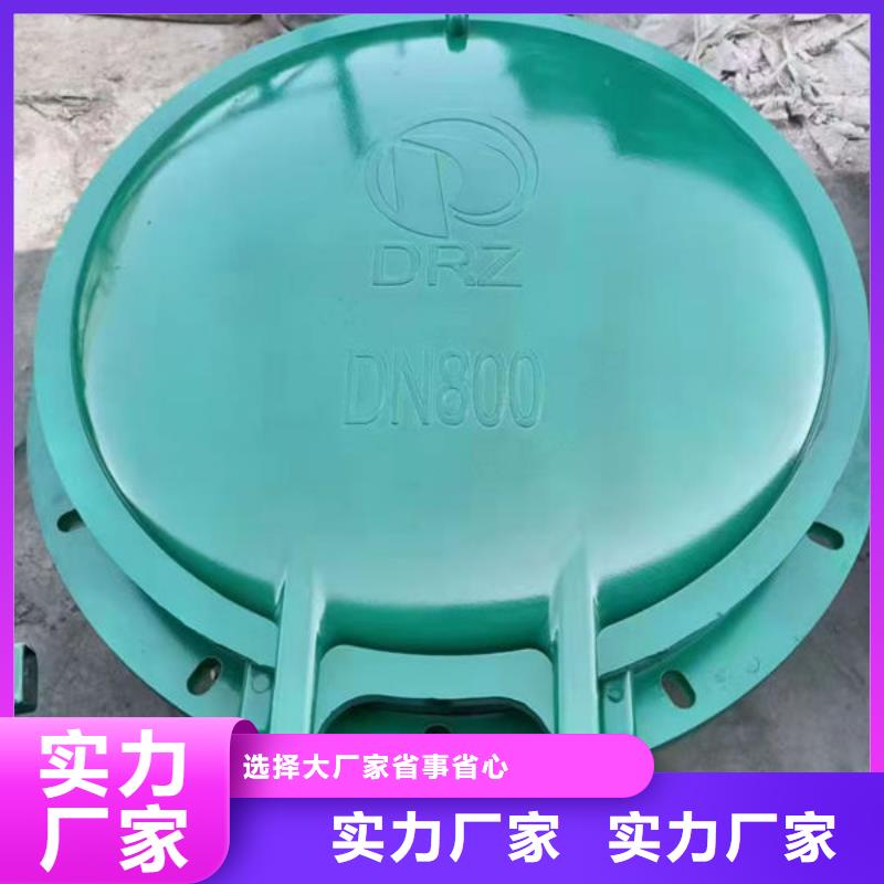拍门球墨铸铁拍门实力优品