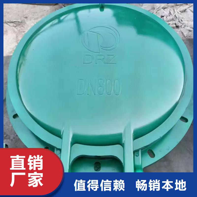 拍门-防倒灌拍门厂家直销直供