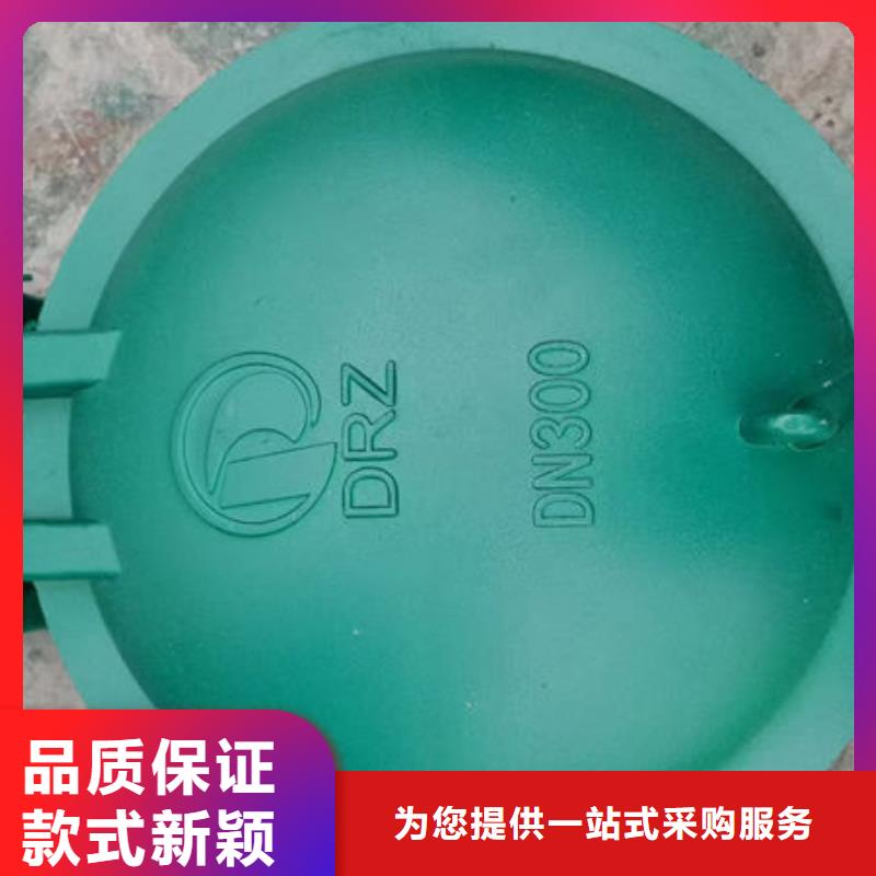 拍门钢制拍门自主研发