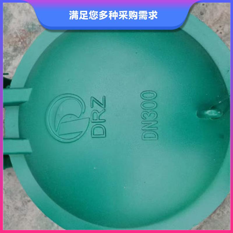 拍门-防倒灌拍门厂家直销直供