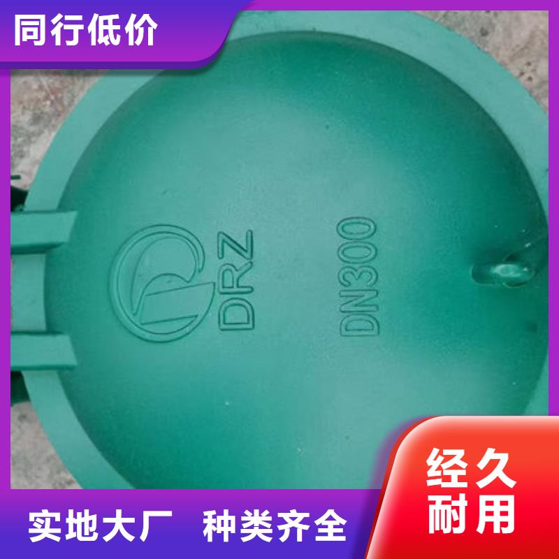 拍门_球墨铸铁拍门专注细节专注品质