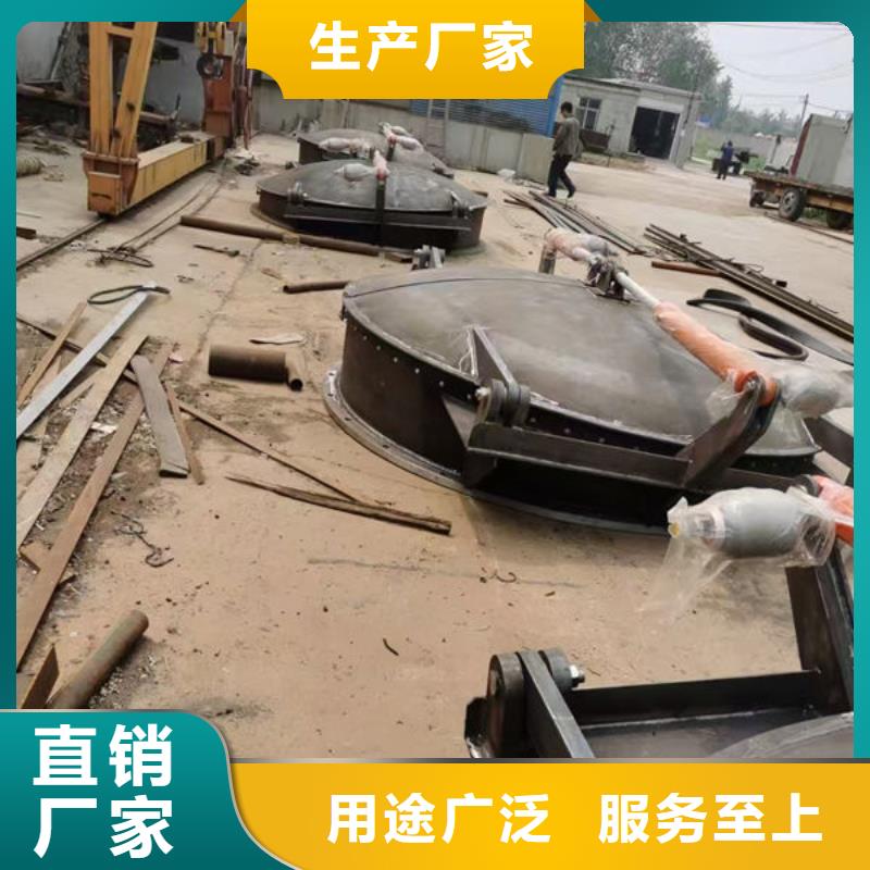 拍门不锈钢拍门产品细节