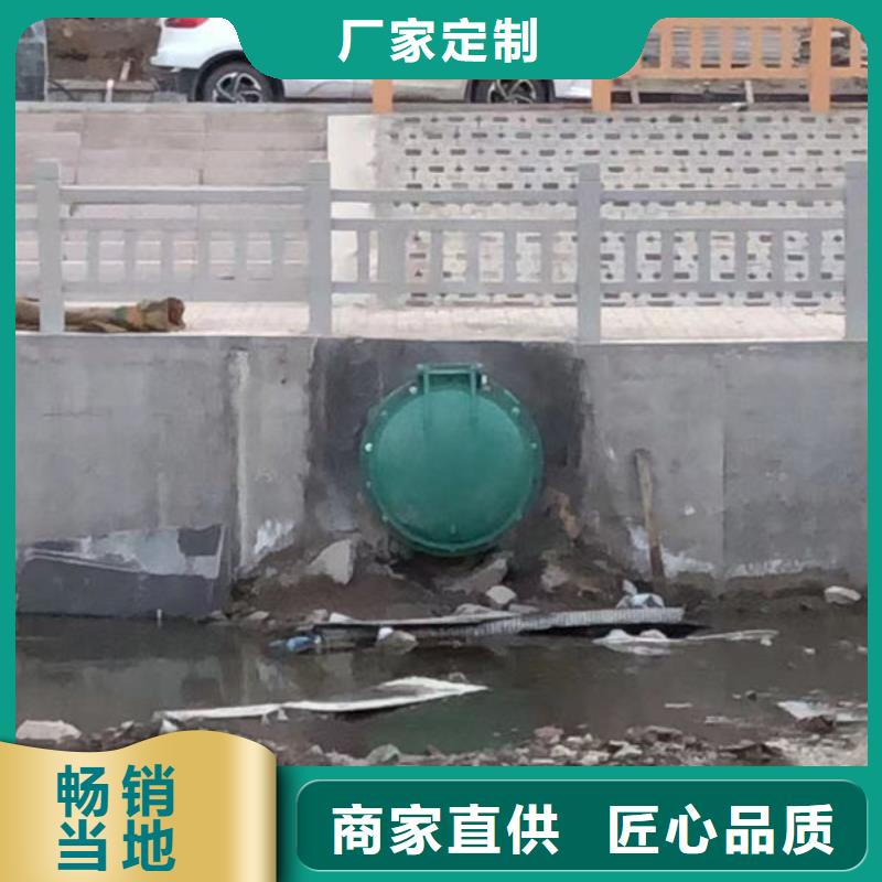 拍门钢制拍门N年大品牌