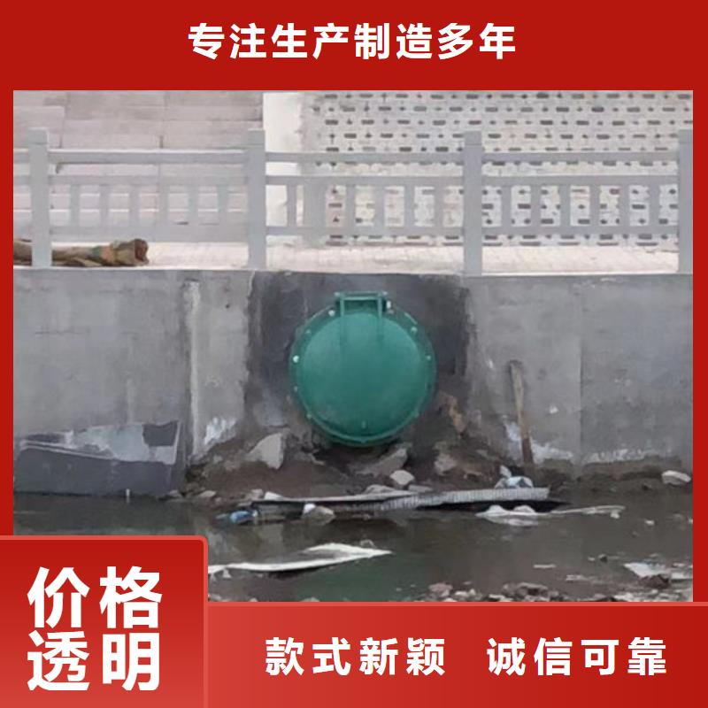 拍门_铸铁拍门服务至上