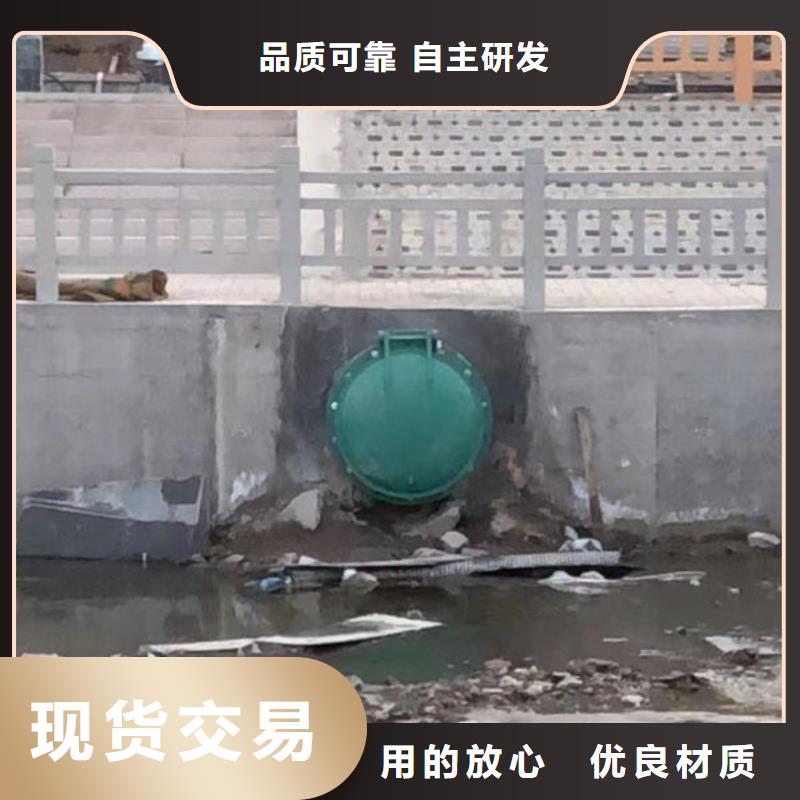 拍门防倒灌拍门工艺成熟
