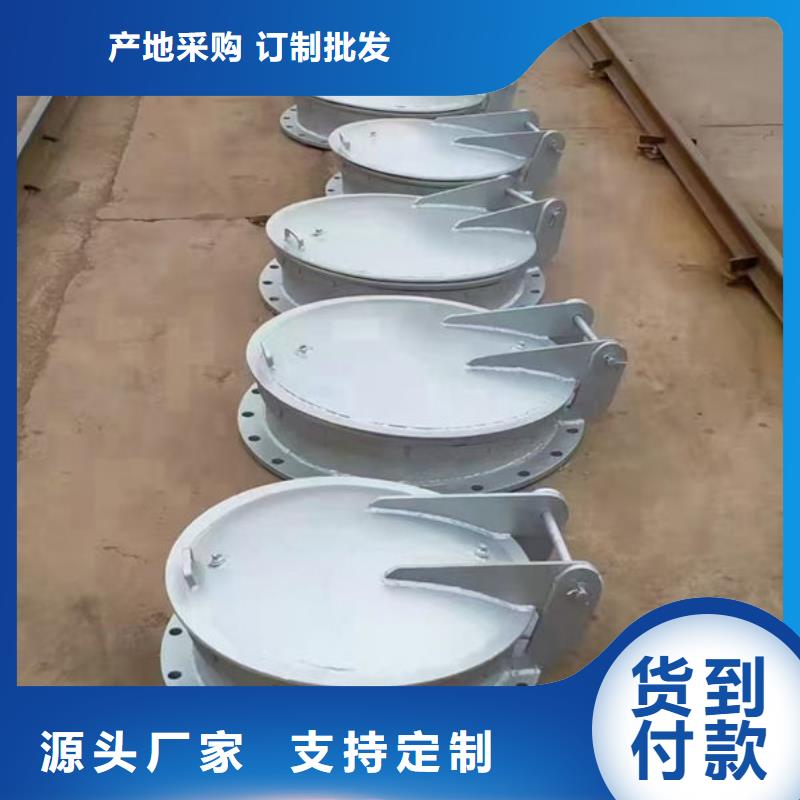 拍门球墨铸铁拍门厂家批发价