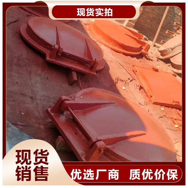 拍门钢制拍门制造厂家