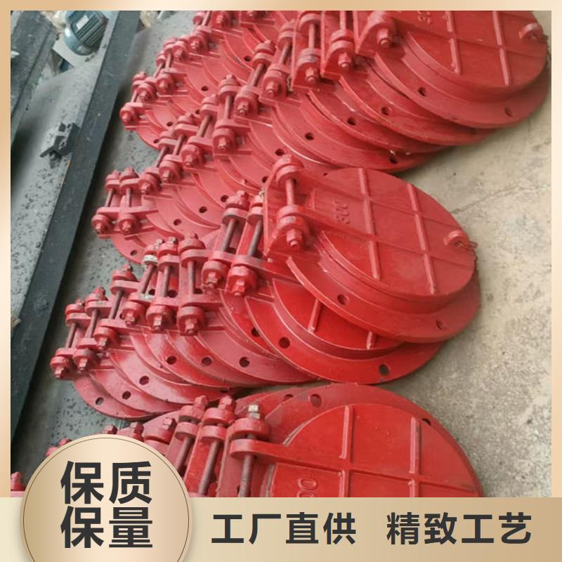 拍门-防倒灌拍门厂家直销直供