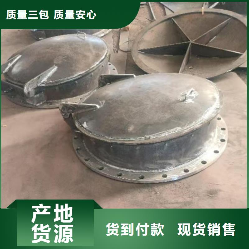拍门球墨铸铁拍门出厂价