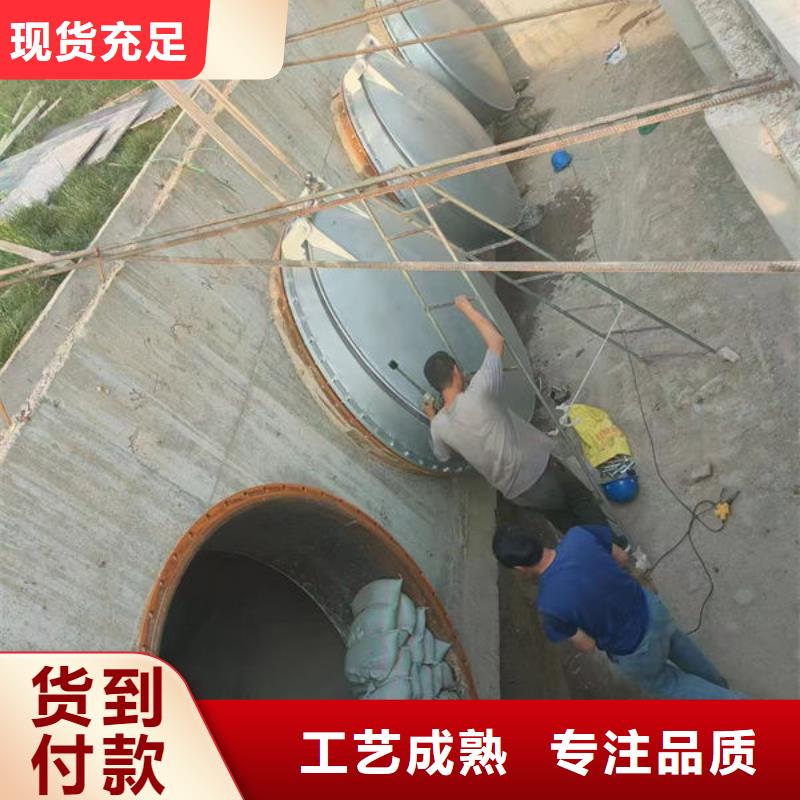 拍门钢制拍门制造厂家