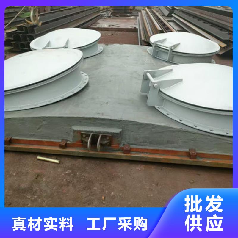 拍门钢拍门批发价格