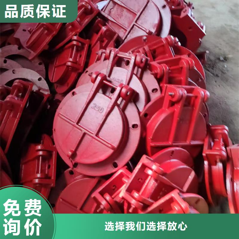 拍门防倒灌拍门免费寄样