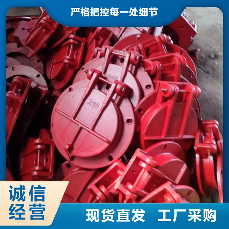 拍门防倒灌拍门定制不额外收费