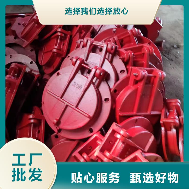 拍门防倒灌拍门质量好