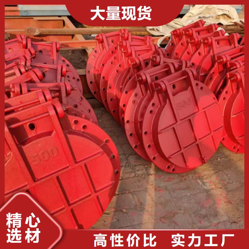 拍门钢制拍门制造厂家
