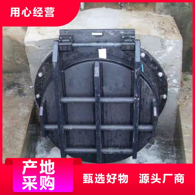 拍门球墨铸铁拍门一件也发货