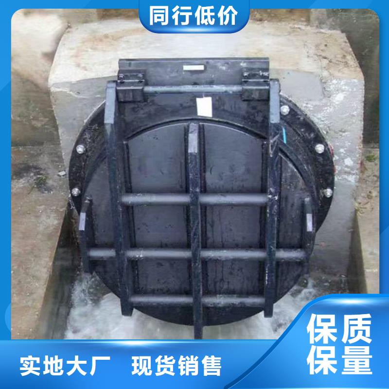 拍门_拍门质量好