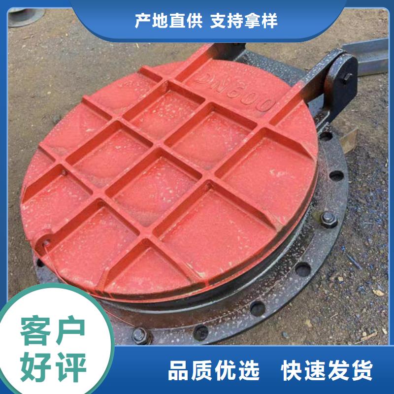拍门球墨铸铁拍门厂家批发价