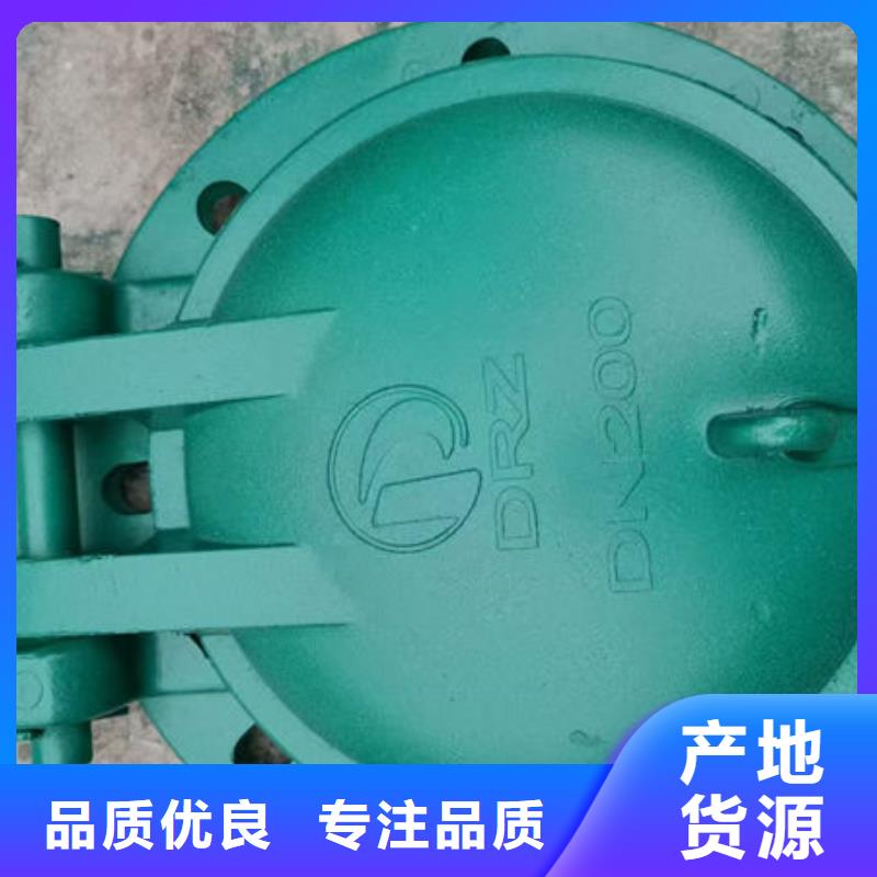 拍门钢拍门供货及时