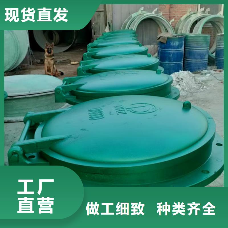 拍门,球墨铸铁拍门应用范围广泛