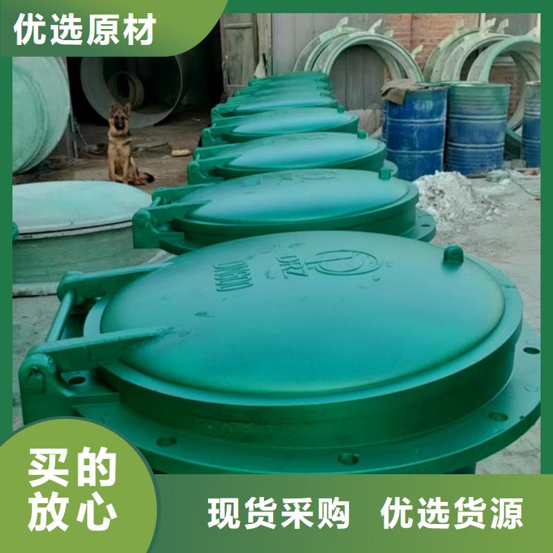 拍门防倒灌拍门实拍品质保障