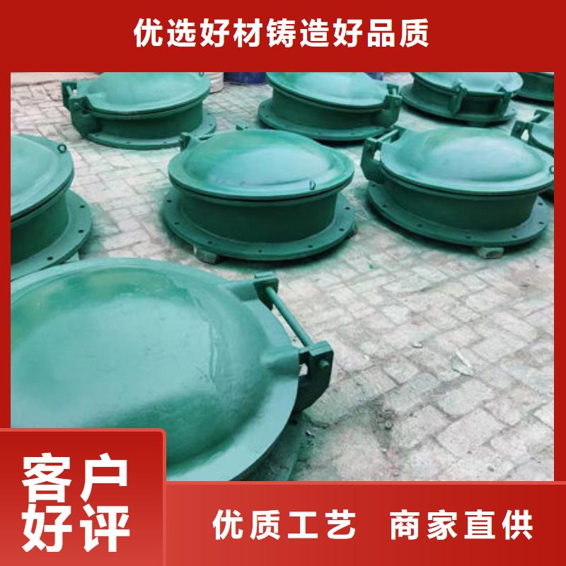 拍门球墨铸铁拍门来图加工定制