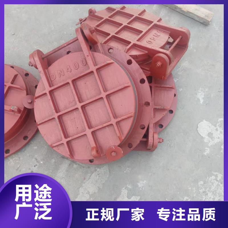 拍门防倒灌拍门价格透明