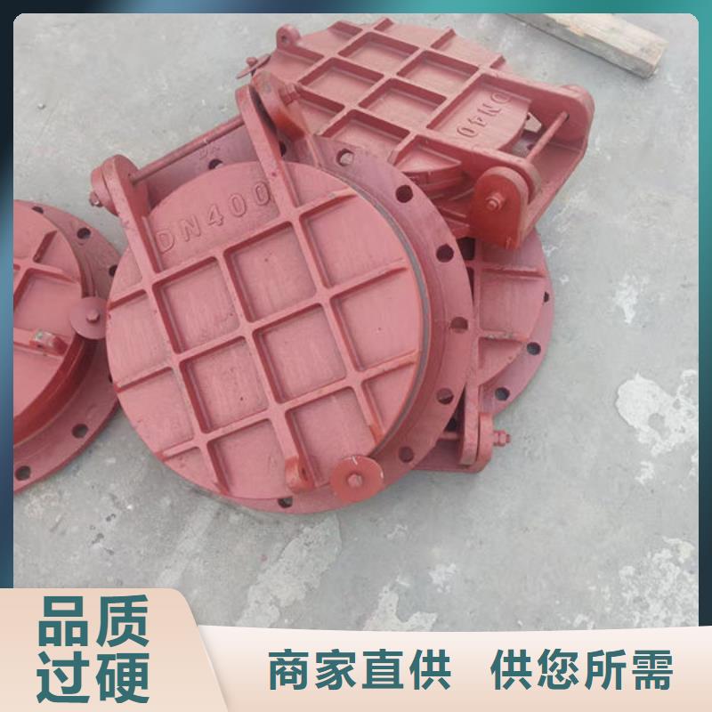 拍门复合材料拍门严选好货