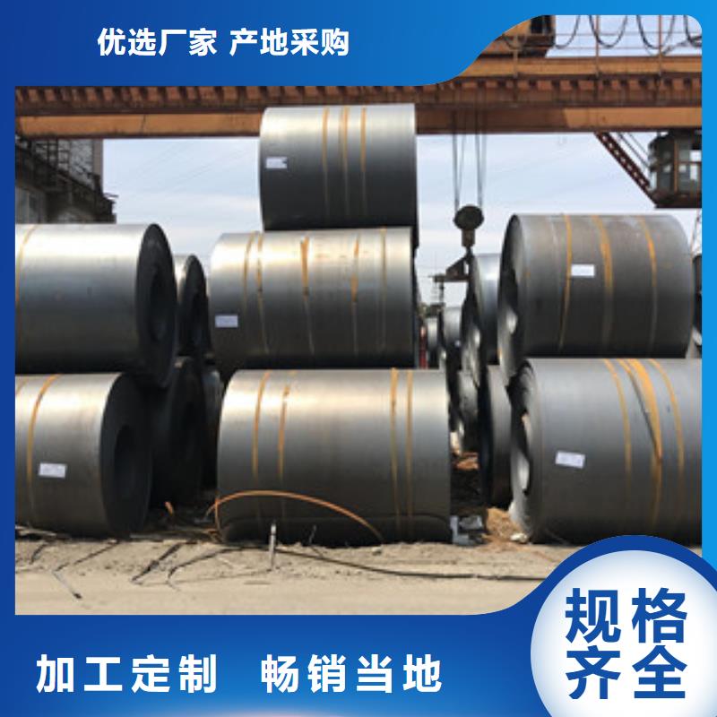 钢板热轧碳钢严选用料
