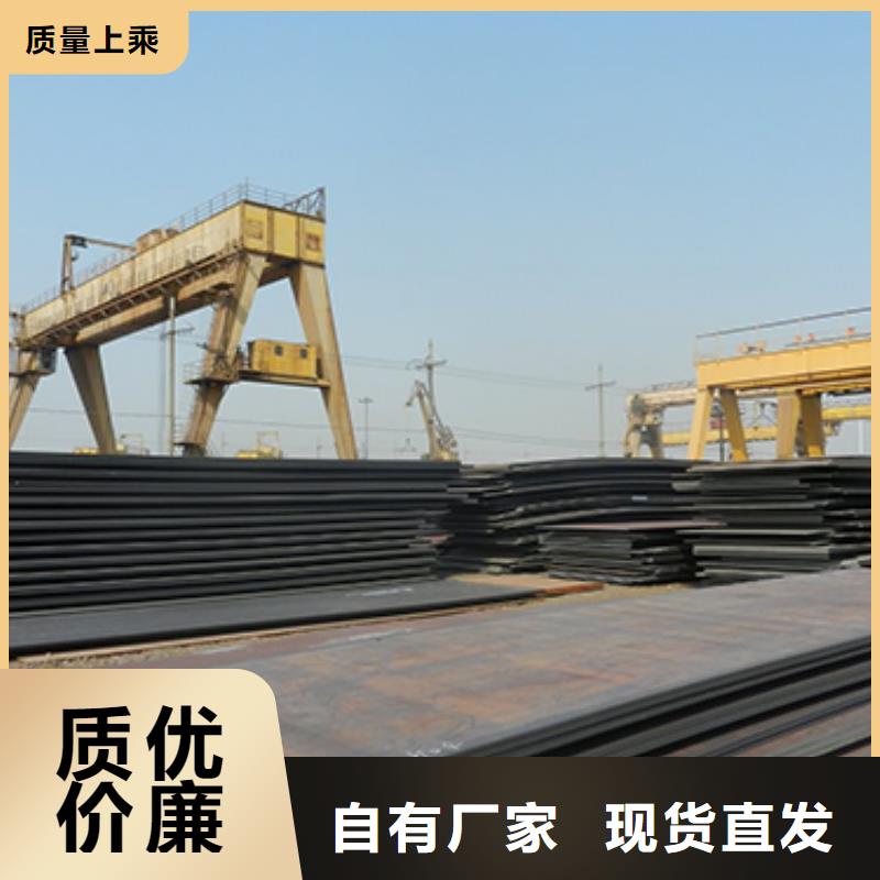 高强钢板船板工厂直供