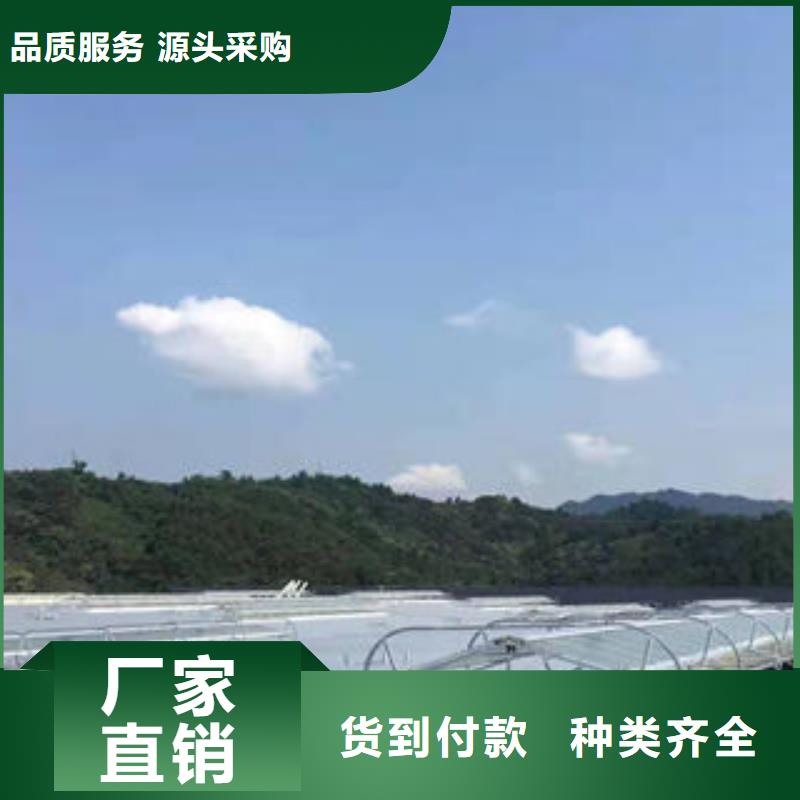 TC1型通风天窗产品介绍