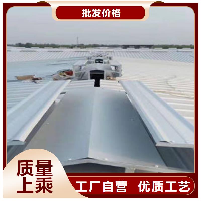 09J621-2电动采光排烟天窗图片