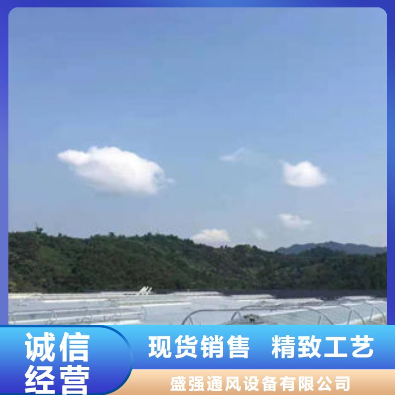 屋脊气楼价格合理