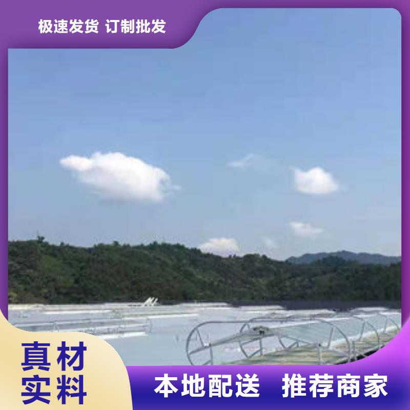 三角型电动排烟天窗实力雄厚