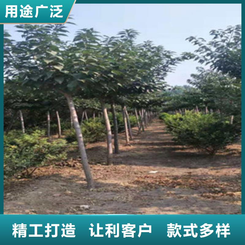【樱花绿化树绿化工程用心服务】