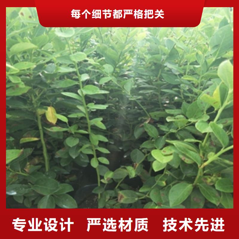 钙果苗-视频-安康市钙果苗-【周边】可服务区域石泉|宁陕|商洛|榆林|西安|延安|咸阳