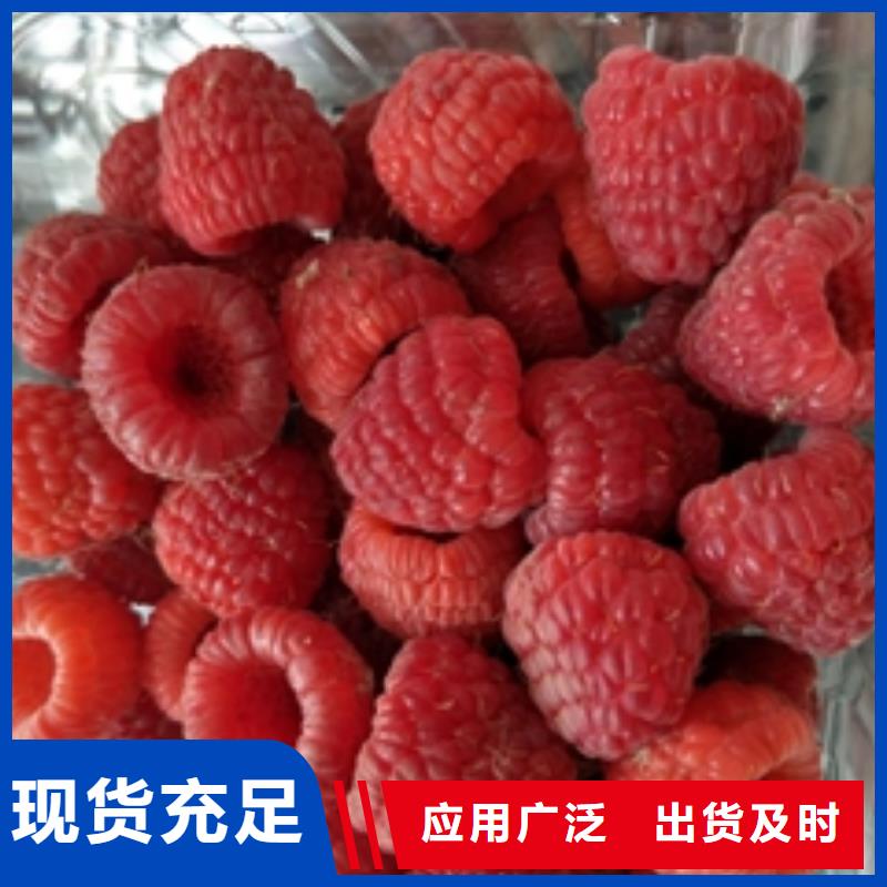 钙果苗-视频-钙果苗|四川省眉山市|仁寿|丹棱|德阳|广安|阿坝|雅安