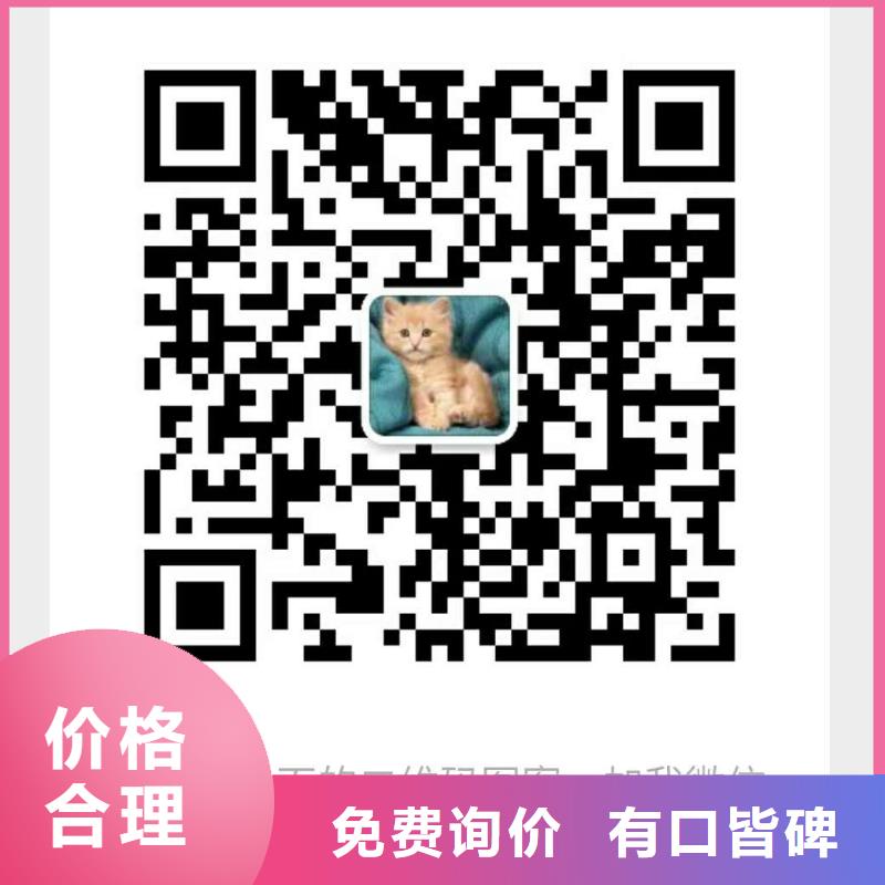 冷凝器胶球自动清洗装置-视频-冷凝器胶球自动清洗装置-黑龙江省齐齐哈尔市铁峰|碾子山|鹤岗|大兴安岭|大庆|黑河【此地】制造商