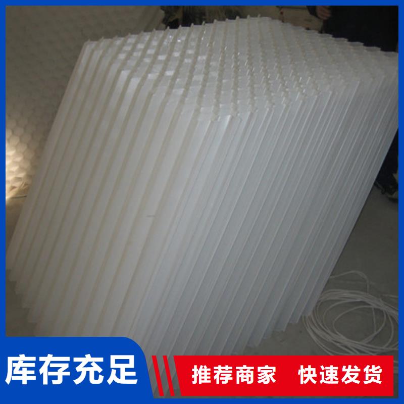 蜂窝斜管沸石供货及时