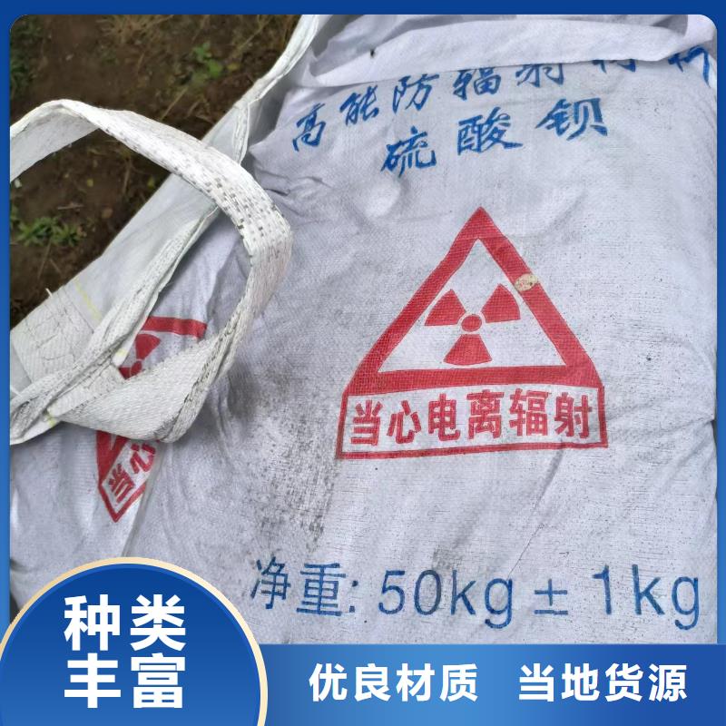 射线防护铅门-本地厂家