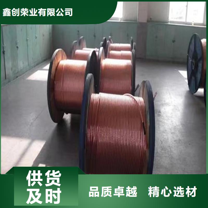 铜绞线【紫铜带】卓越品质保障