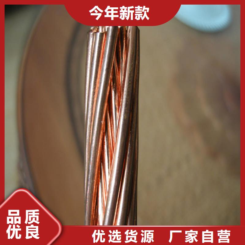 铜绞线支持货到付清