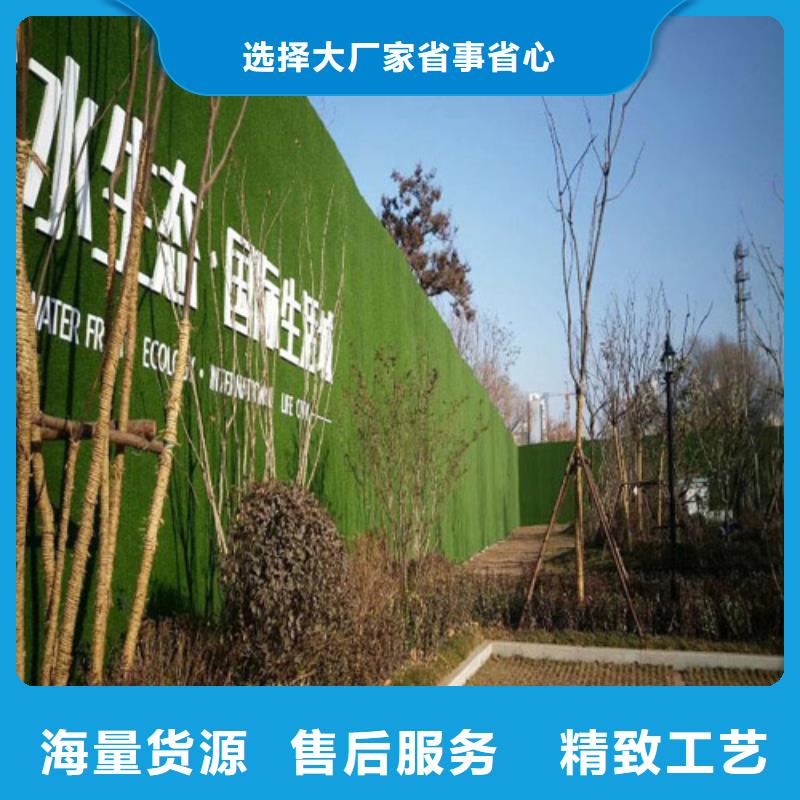 人工草坪围挡-视频-人工草坪围挡|辽宁省阜新市|太平|细河|丹东|鞍山|锦州|本溪|盘锦|铁岭|大连
